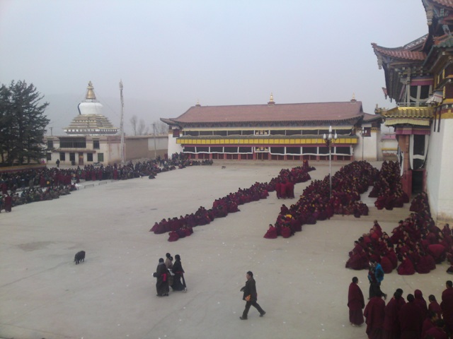 Actualités Tibet (Conflit Tibet/Chine) 20110413