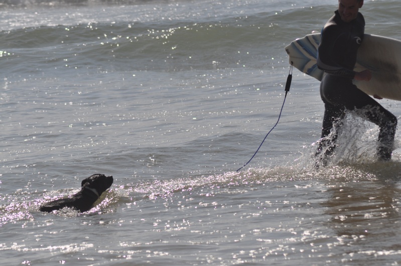 Baya et Little Thing on the beach :)  Bayath61