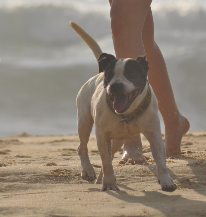 Shelsea et Power on the beach :) Beach022