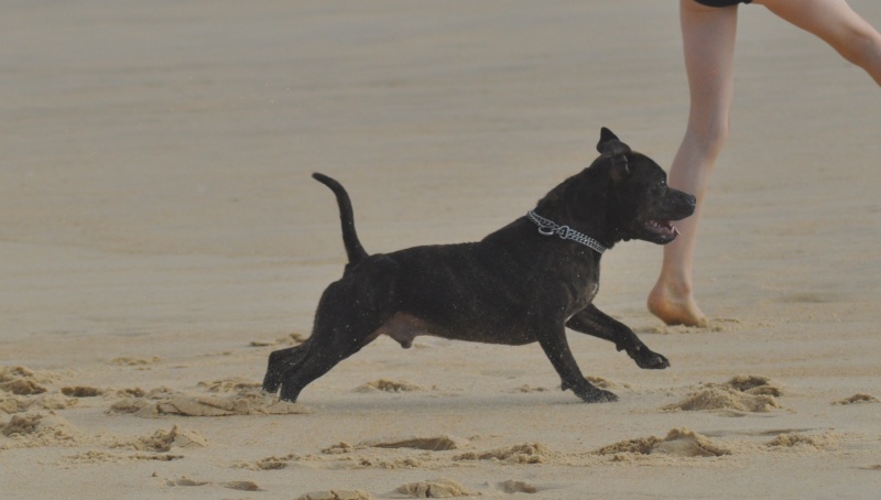 Shelsea et Power on the beach :) Beach053