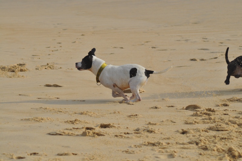 Shelsea et Power on the beach :) Beach077