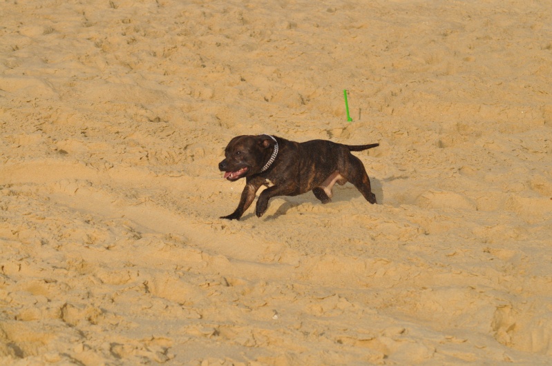 Shelsea et Power on the beach :) Beach105