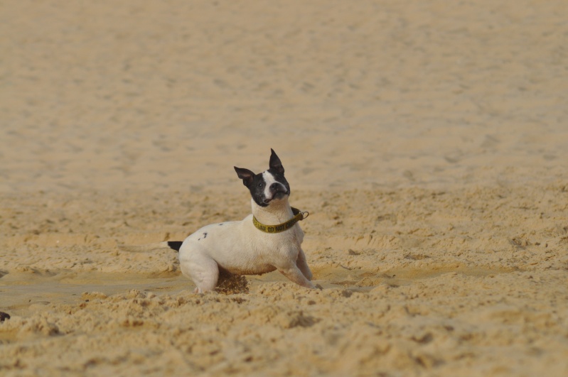 Shelsea et Power on the beach :) Beach109