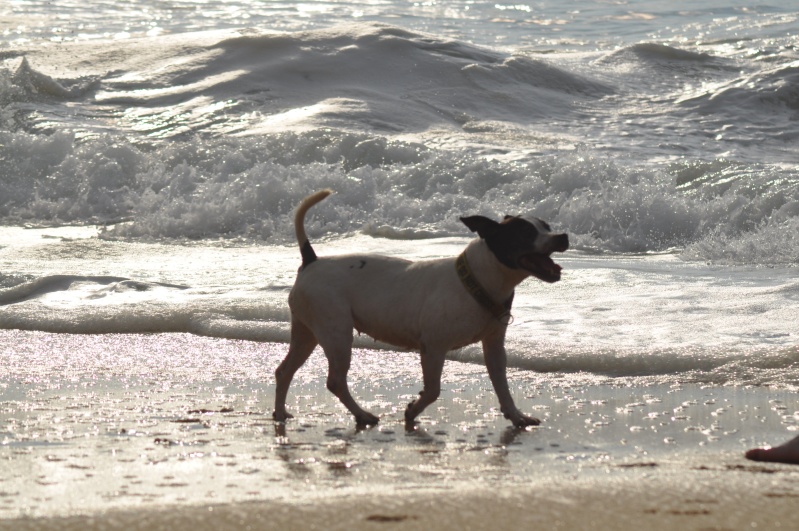 Shelsea et Power on the beach :) Beach124