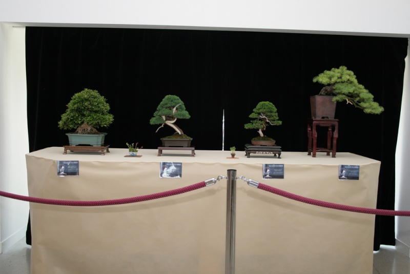 EAST MEETS WEST International Bonsai Exhibition 20-22 May 2011 Poland Img_4311