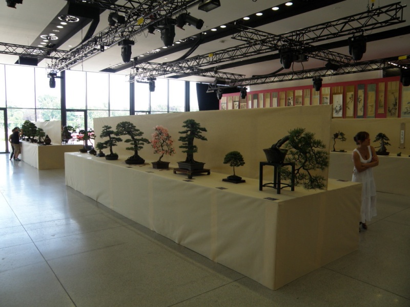 EAST MEETS WEST International Bonsai Exhibition 20-22 May 2011 Poland P5200012
