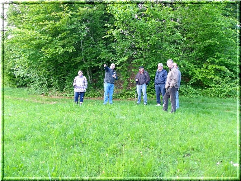 VISITE DU SITE, dimanche 15 mai 2011, compte rendu Imgp3611