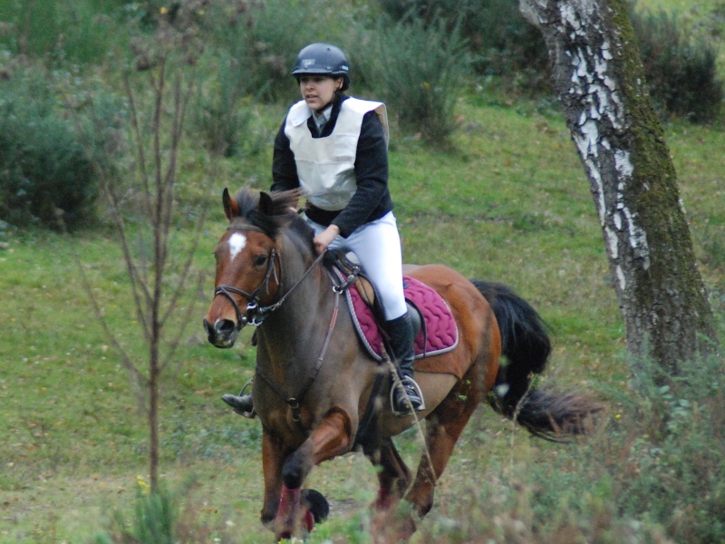 [Equitation] Mon ancien métier, ma passion Csc_0310