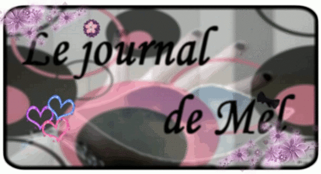 Le journal de Mèl