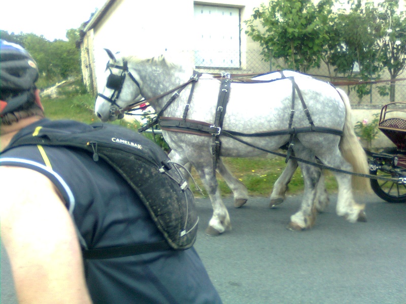 Dimanche 22 mai rando familiale des loges Photo025