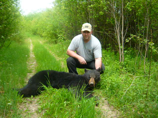 comment trapper l'ours (avec vidéo À VOIR) - Page 6 P1030413