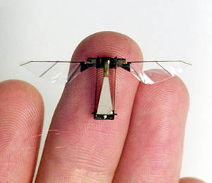 Les drones miniatures espions, mythe ou réalité ? Rtemag10