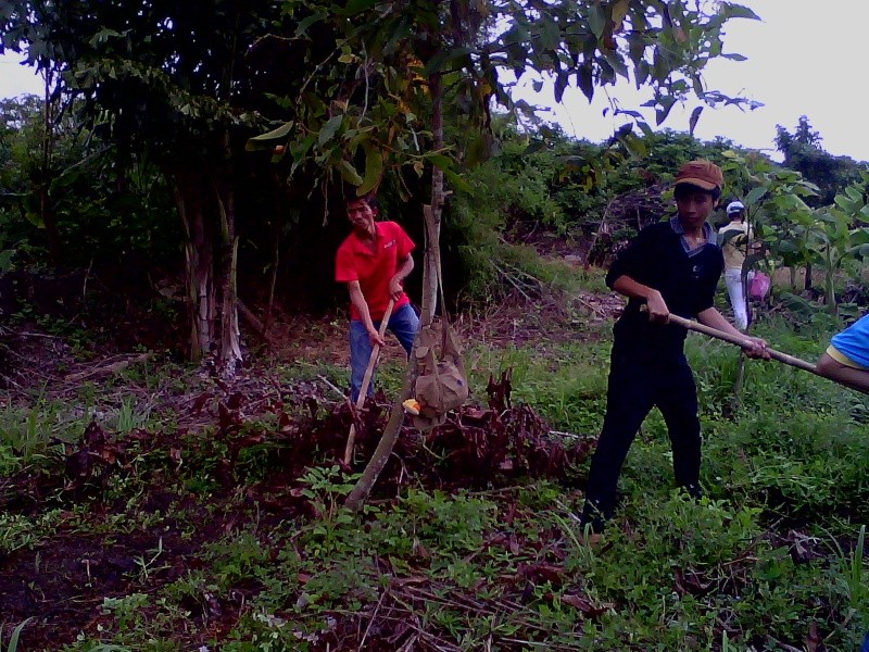Ngày 5 tháng 6: chúng ta khắc phục khó khăn lên đường trồng rừng tại Trường Đông. Img00130