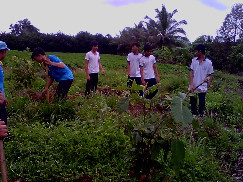 Ngày 5 tháng 6: chúng ta khắc phục khó khăn lên đường trồng rừng tại Trường Đông. Img00135