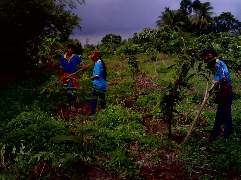 Ngày 5 tháng 6: chúng ta khắc phục khó khăn lên đường trồng rừng tại Trường Đông. Img00148
