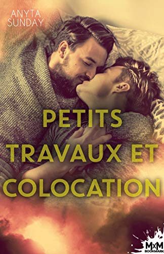 Un foyer à construire - Tome 2 : Petits travaux et colocation de Anyta Sunday 51wawl10