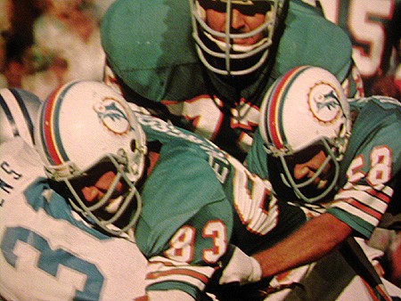 1969 (and 1973) Miami Dolphins corrections 2logos11