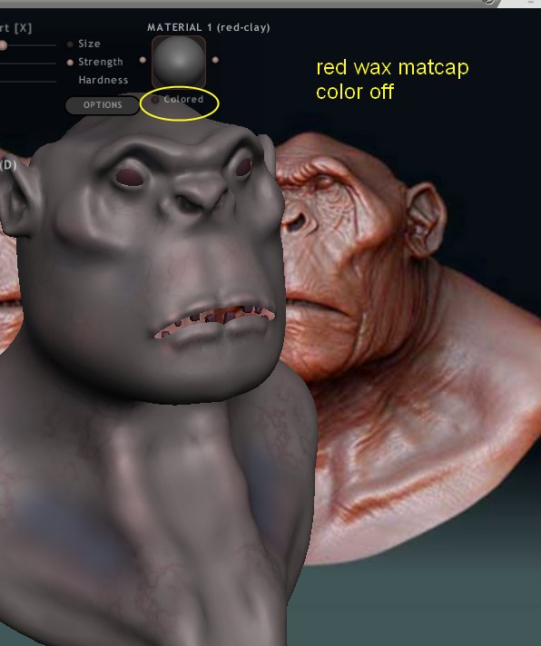 Sculptris vs Zbrush Ape-st14