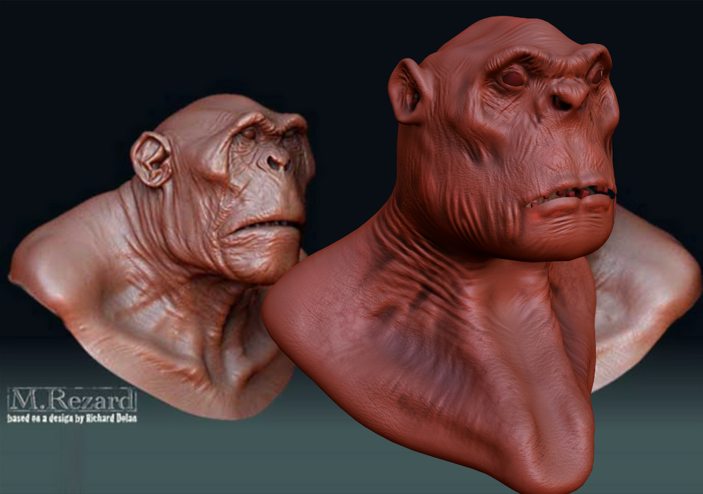 Sculptris vs Zbrush Ape-st15