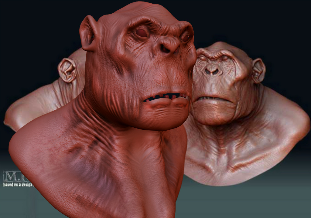 Sculptris vs Zbrush Ape-st16