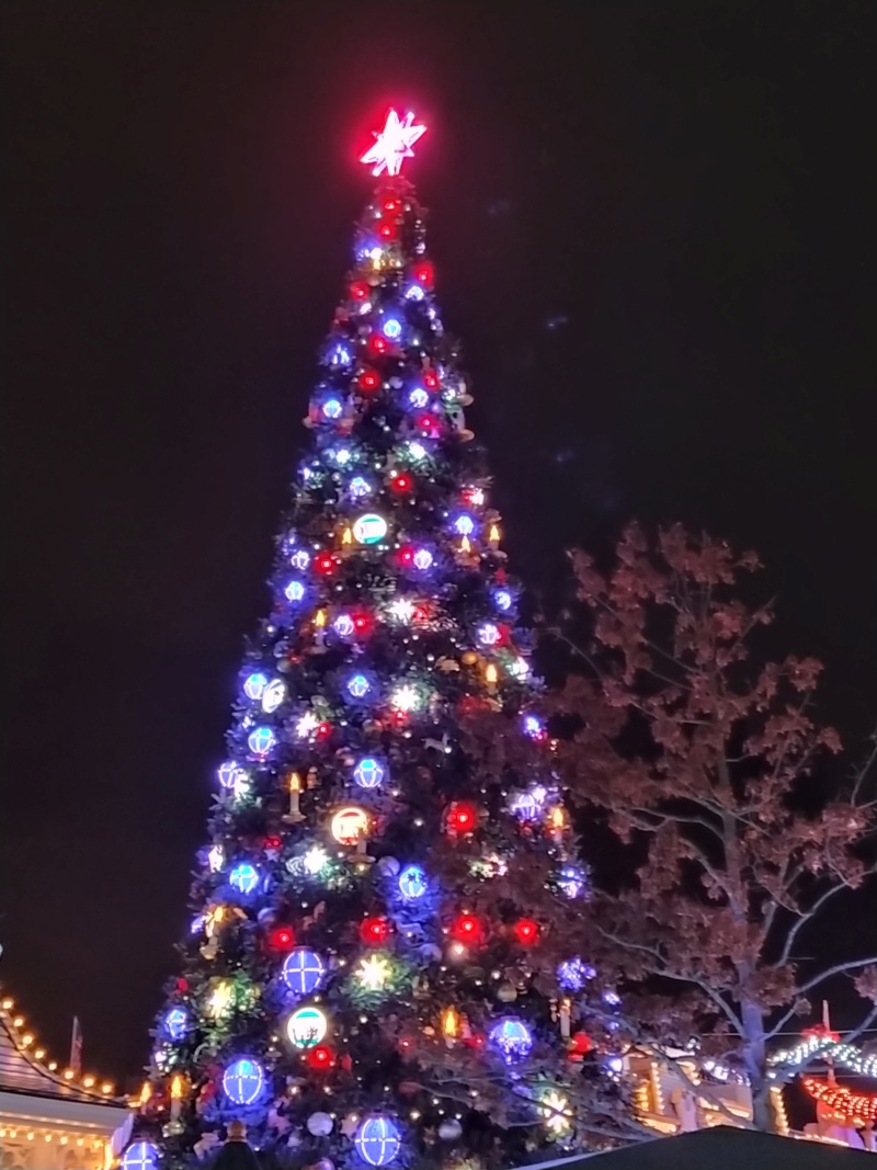 (re)Découvrir la Saison de NOËL en séjour mère-fille nov-2019 et finir au Castle Club !! (Terminé) - Page 5 Img_2188