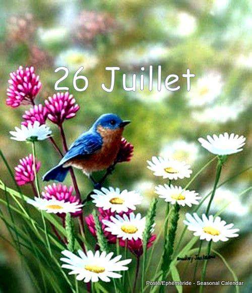 JUILLET 2018 - Page 13 37823710