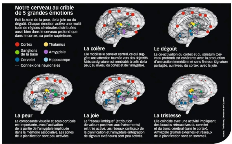 Esprit et Cerveau 2020-010