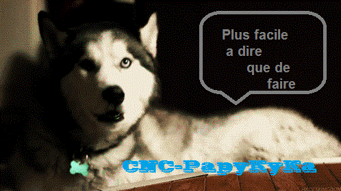 PapyKy : S4 - Fermer les rétroviseurs sur vérouillage des portes, contact coupé. Husky_16