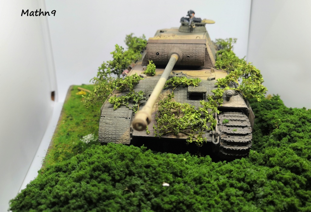 4 Dioramas Véhicules allemand Pz IV, Panther et 251 au 1/35 Img_2078