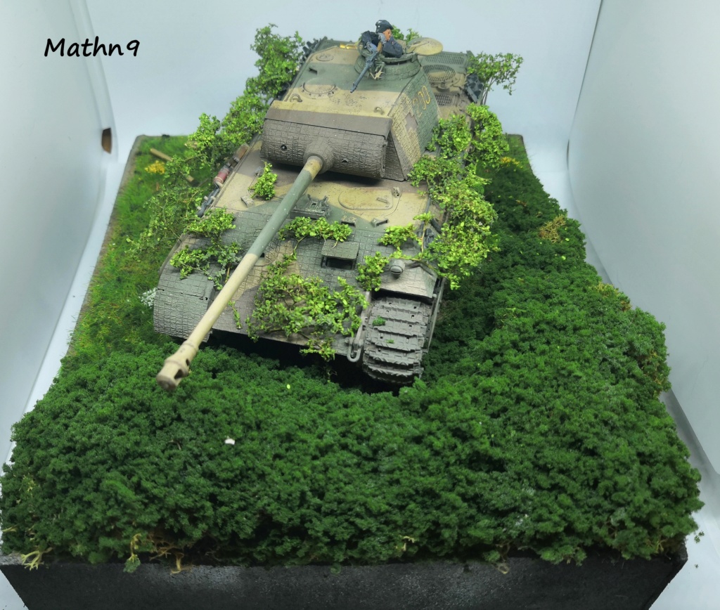 4 Dioramas Véhicules allemand Pz IV, Panther et 251 au 1/35 Img_2079