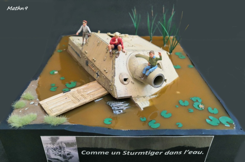 Comme un Sturmtiger dans l'eau Img_2147