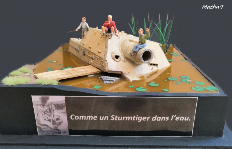 Comme un Sturmtiger dans l'eau Img_2148