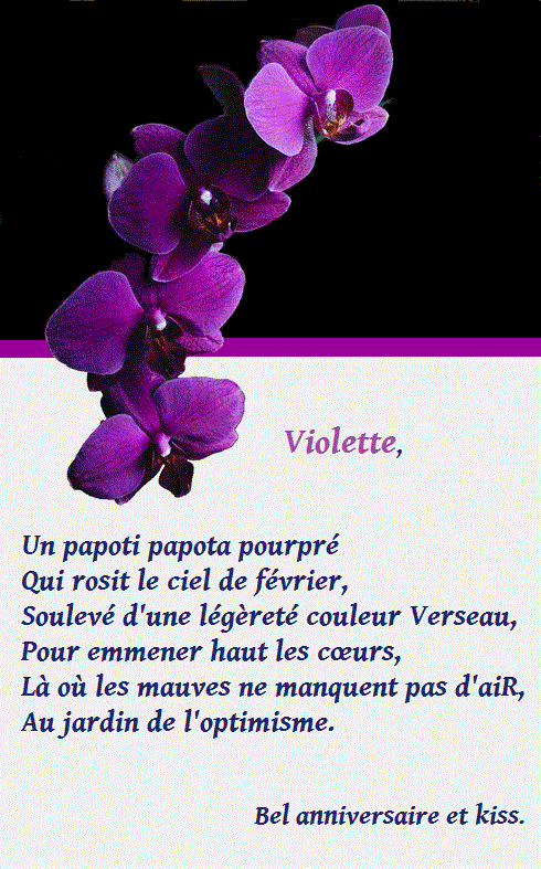Violette, Vio,Vio Birthday Now Violet12