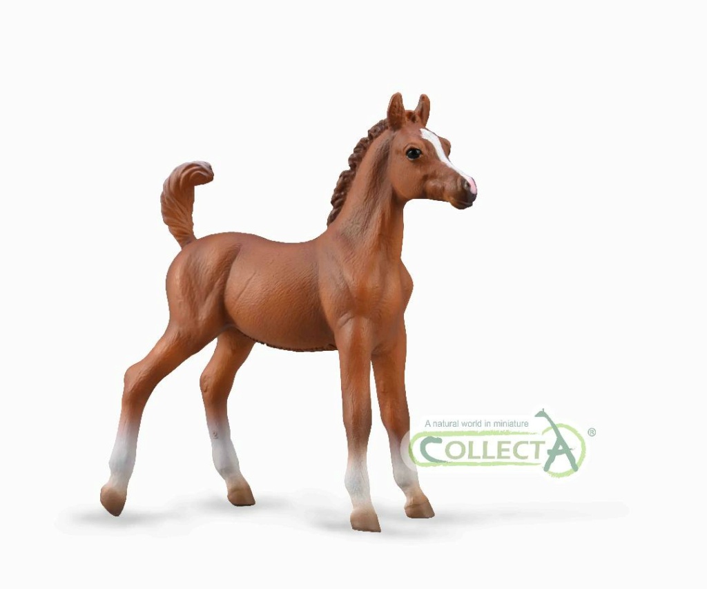 2023 Horse Figure of the Year , CollectA 88978 Mustang Stallion Bay Pintoloosa Thumbn20