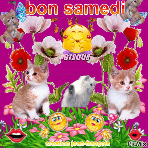 Bonjour, bonsoir..... - Page 10 51554010