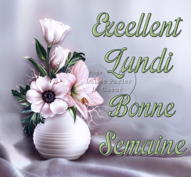 Bonjour, bonsoir..... - Page 28 Ebed6710