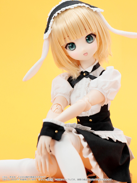 [Azone] 1/3 Another Realistic Character 010 "Is the order a rabbit??" Sharo  45731915