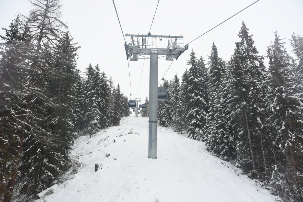 Télécabine débrayable 10 places (TCD10) Vallandry Dsc10270