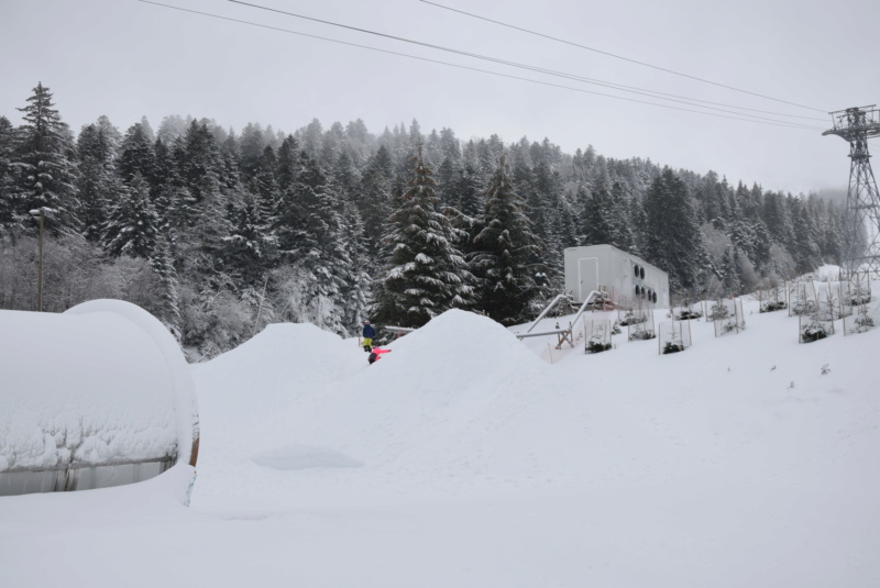 Nouveautés 2021, Super Besse et Le Lioran s'équipent en neige de culture Dsc_5672