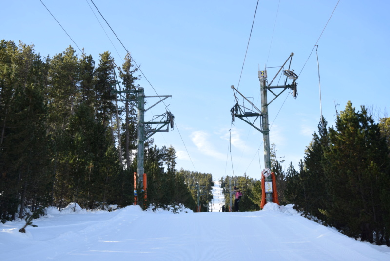 Téléskis débrayables (TKD1) Perches Blanches Dsc_6604