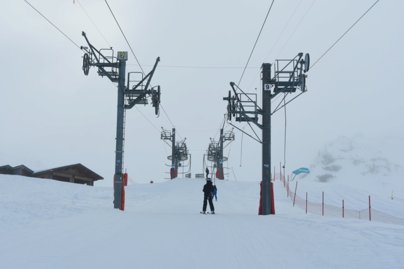 Téléskis débrayables (TKD) du Plateau 1 & 2 Dsc_9419