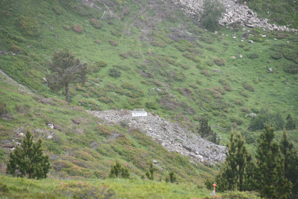 Chantiers St Lary - Télésiège Forêt / Télécabine Espiaube - TSD6 Tourette Nom_du19