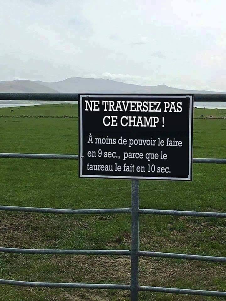 Humour en image du Forum Passion-Harley  ... - Page 19 68283810