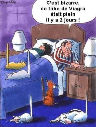 Humour en image du Forum Passion-Harley  ... - Page 9 Blag_223