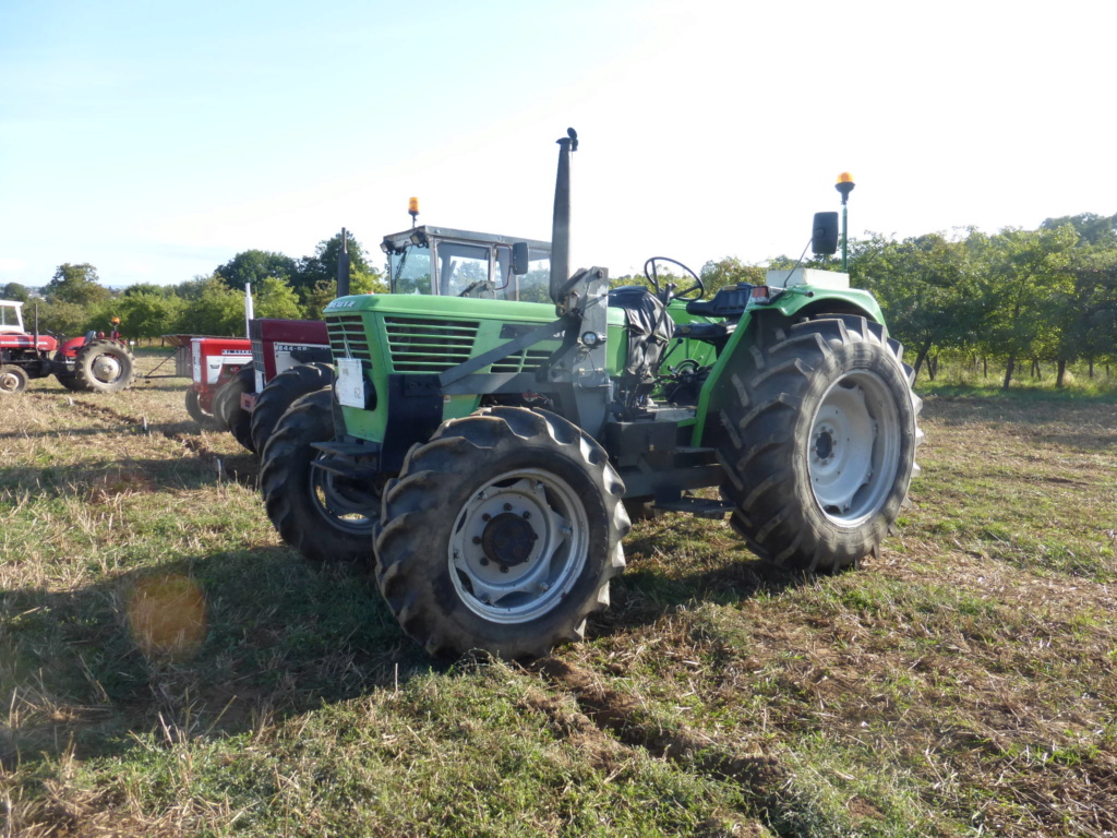 Rassemblement tracteurs Tinchebray 2019. P1000267