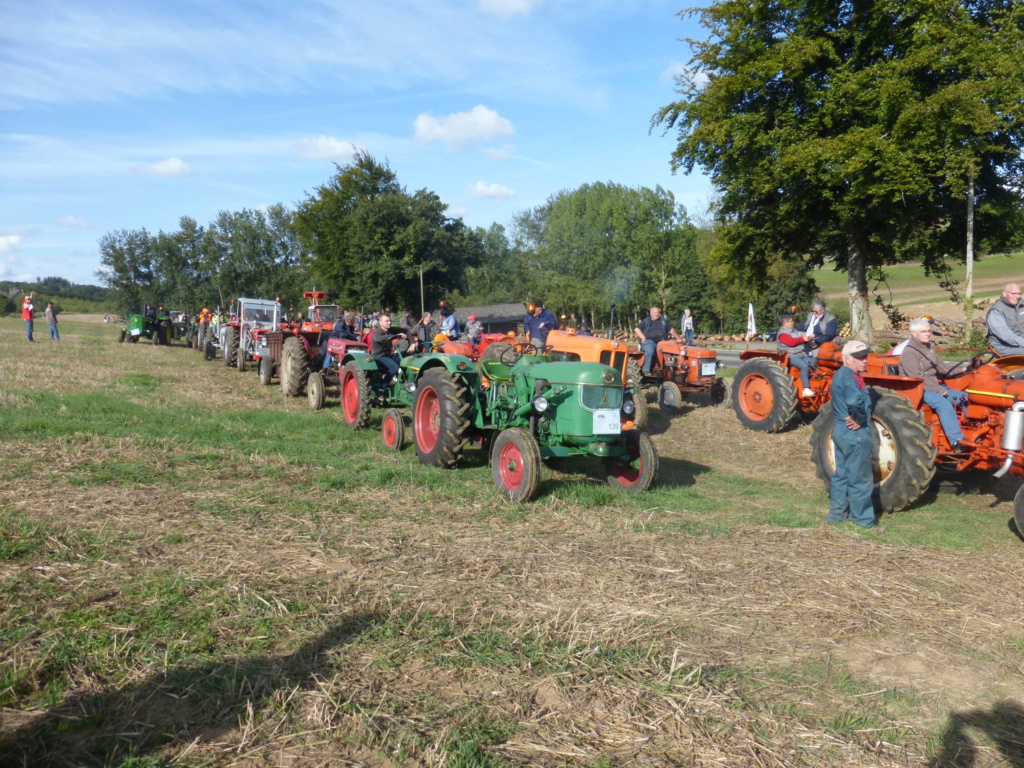 Rassemblement tracteurs Tinchebray 2019. P1000271