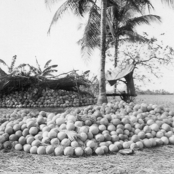 [Opérations de guerre] INDOCHINE - TOME 12 - Page 34 Img26811