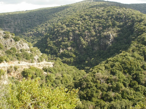 CAMINATAS MATINALES Alrede15