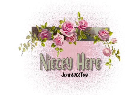 NIECEY'S GIFT BOX Niecey12
