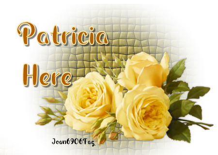 PATRICIA'S GIFT BOX Patric11